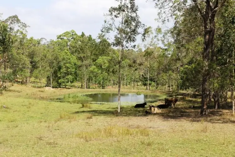 Second view of Homely rural property listing, 200 Savilles Road, Bentley NSW 2480
