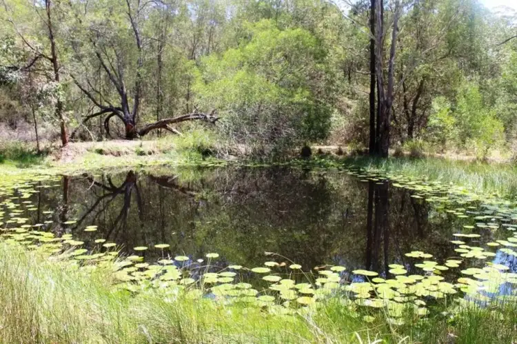 Second view of Homely rural property listing, 562 Moonem-New Italy Road, New Italy NSW 2472