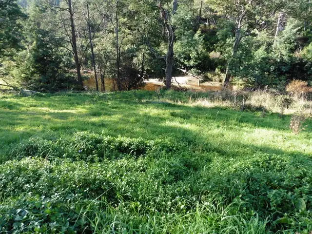 Fifth view of Homely land listing, * Main Street, Derby TAS 7264