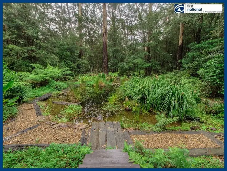Third view of Homely house listing, 2905 Springbrook Road, Springbrook QLD 4213