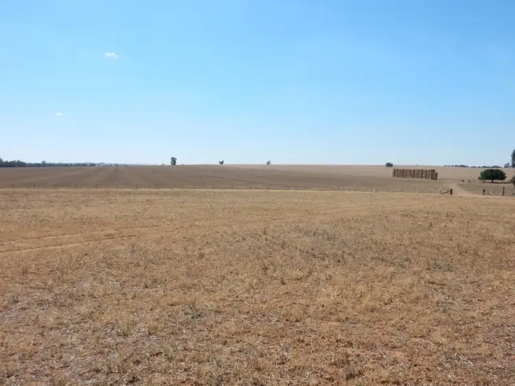Fourth view of Homely rural property listing, 82 East Millwood Road, Wagga Wagga NSW 2650