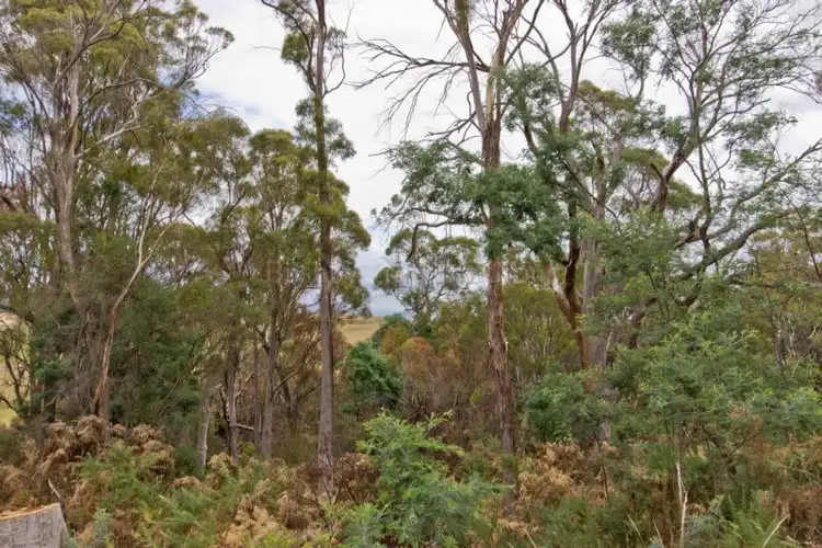 Second view of Homely land listing, 5 Westlake Drive, Travellers Rest TAS 7250