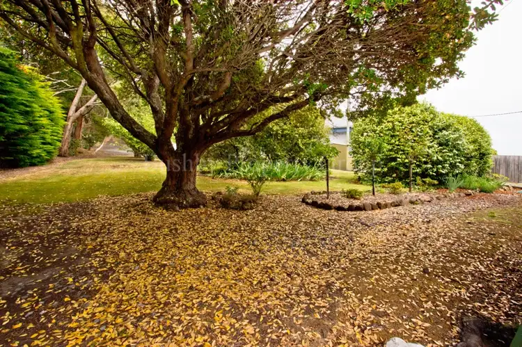 Fourth view of Homely house listing, 28 Rosevears Drive, Lanena TAS 7275