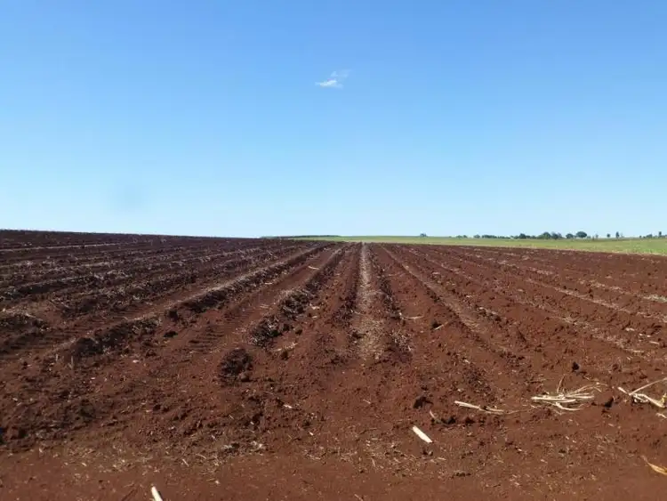 Main view of Homely rural property listing, 108 DOWLINGS ROAD, North Isis QLD 4660