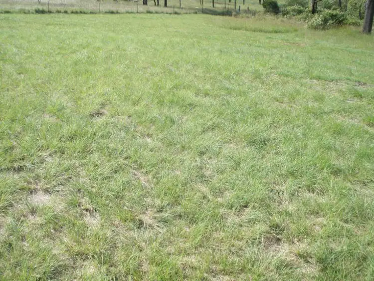 Second view of Homely land listing, Lot 113 Lilian Ave, Ellesmere QLD 4610