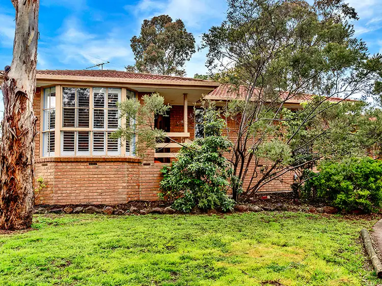 8/35 Middlefield Drive, Blackburn North VIC 3130