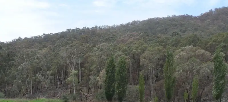 Main view of Homely rural property listing, Address available on request