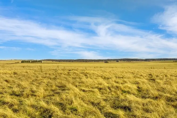 Fourth view of Homely land listing, LOT 4 - 14, 1620 Windellama Road, Goulburn NSW 2580