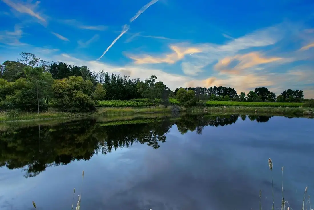 Main view of Homely house listing, 2595 Onkaparinga Valley Road, Mount Torrens SA 5244