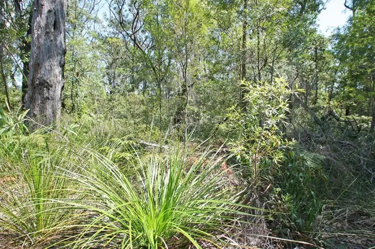 Fourth view of Homely land listing, Lot 80 Whipbird Drive, Ashby NSW 2463