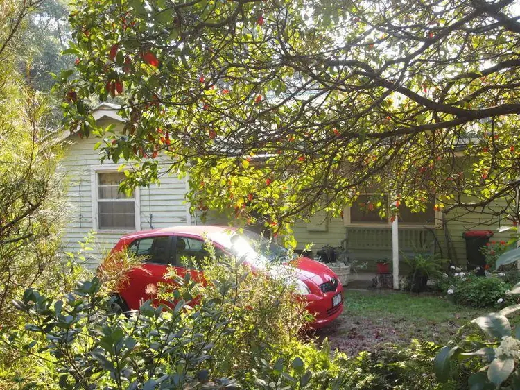 161 Great Alpine Road, Bruthen VIC 3885