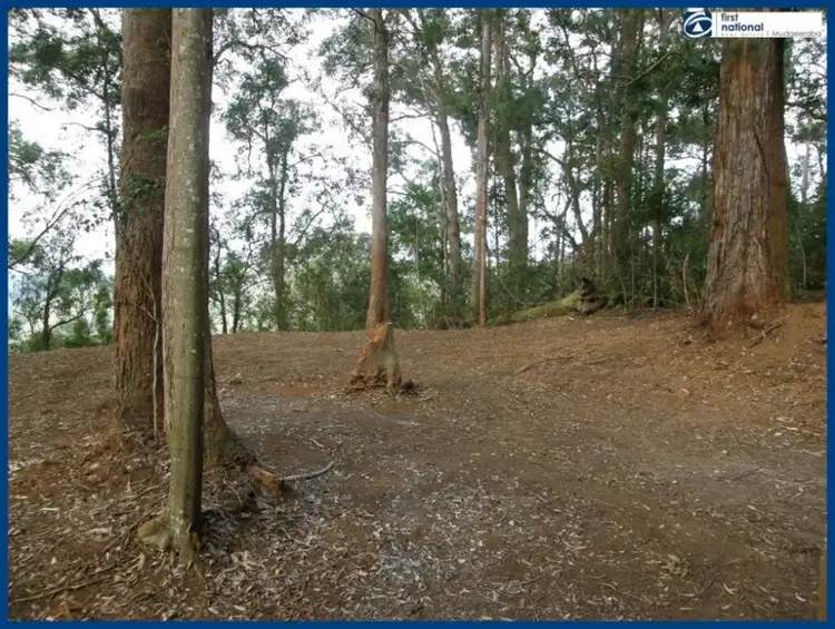 Fourth view of Homely house listing, 13 Mimosa Road, Springbrook QLD 4213
