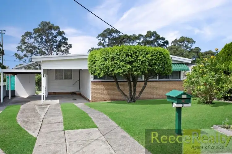 Main view of Homely house listing, 66 Conmurra Circuit, Shortland NSW 2307