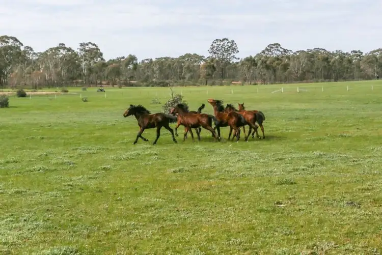 Third view of Homely land listing, LOT 4, 1 Bowles Road, Strathfieldsaye VIC 3551
