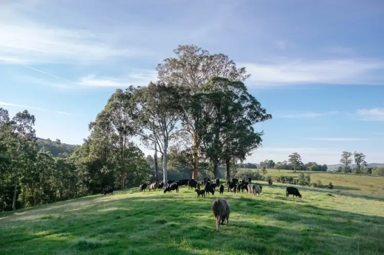 Seventh view of Homely land listing, 86 Nelsons Road, Dungog NSW 2420