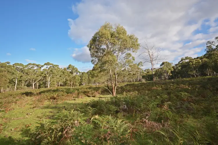 Fifth view of Homely rural property listing, Lot 14A McInnes Road, Macarthur VIC 3286