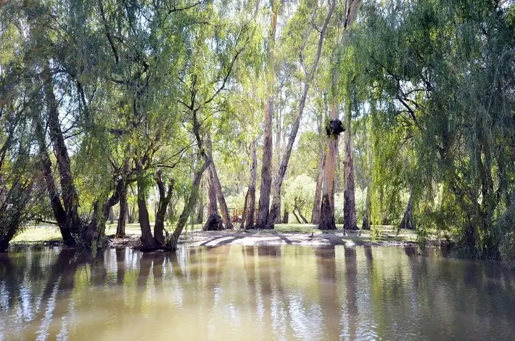 Third view of Homely house listing, 1b Picnic Point Road, Echuca VIC 3564