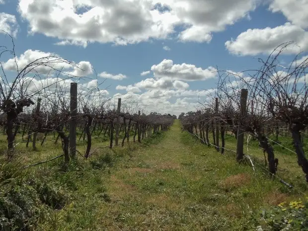 Seventh view of Homely house listing, 105 b Gulval Road, Moama NSW 2731