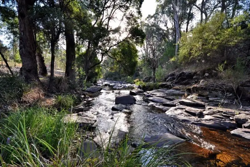 Main view of Homely house listing, 2121 Mt Buller Road, Merrijig VIC 3723