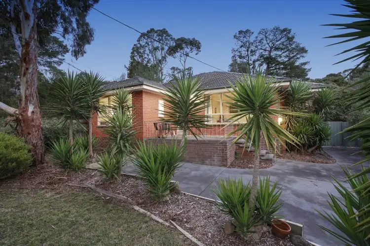49 Summit Crescent, Ringwood North VIC 3134