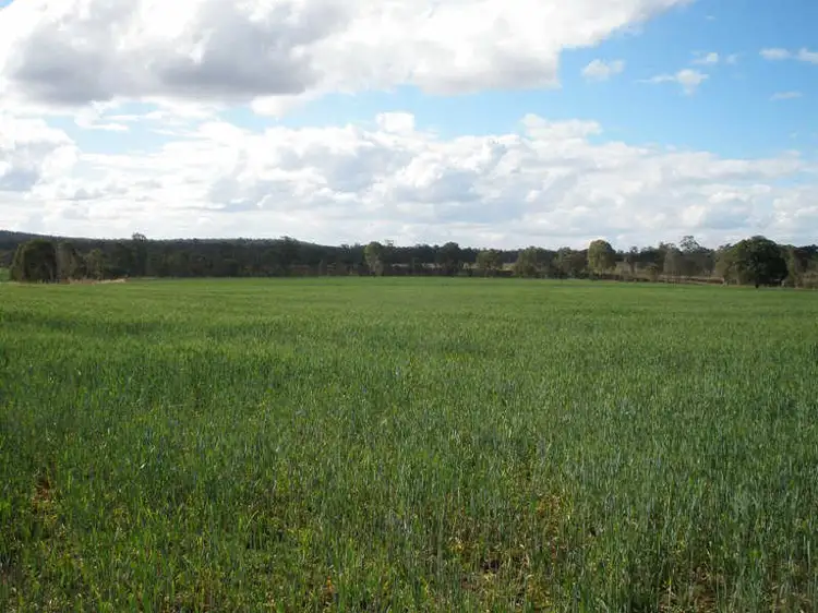 Third view of Homely rural property listing, Lot 491 Rackemann Road, Wooroolin QLD 4608