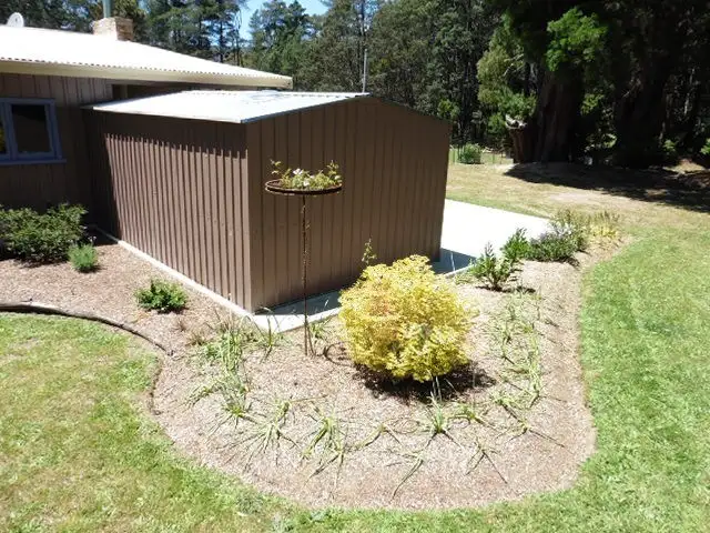 Sixth view of Homely rural property listing, ** Tasman Highway, Weldborough TAS 7264