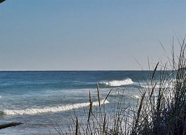 117 Bellbuoy Beach Road, Low Head TAS 7253