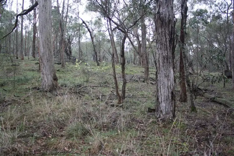 Fifth view of Homely land listing, C/A 48 King Charlie Lane, Raglan VIC 3373