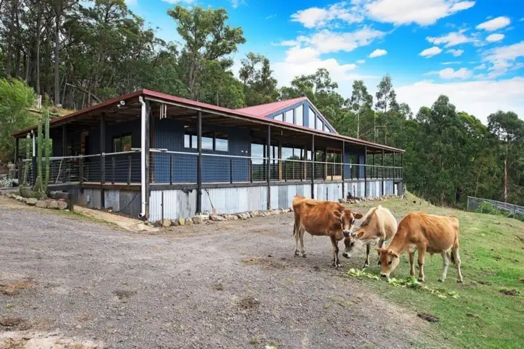 Second view of Homely rural property listing, 175 Frys Road, Kawarren VIC 3249