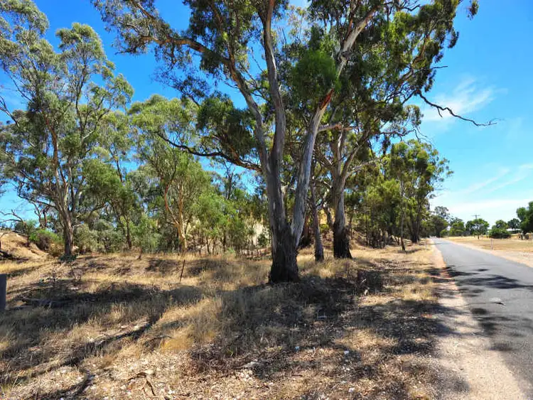 Sixth view of Homely land listing, LOT 1, 312 Bet Bet Betley Road, Betley VIC 3472