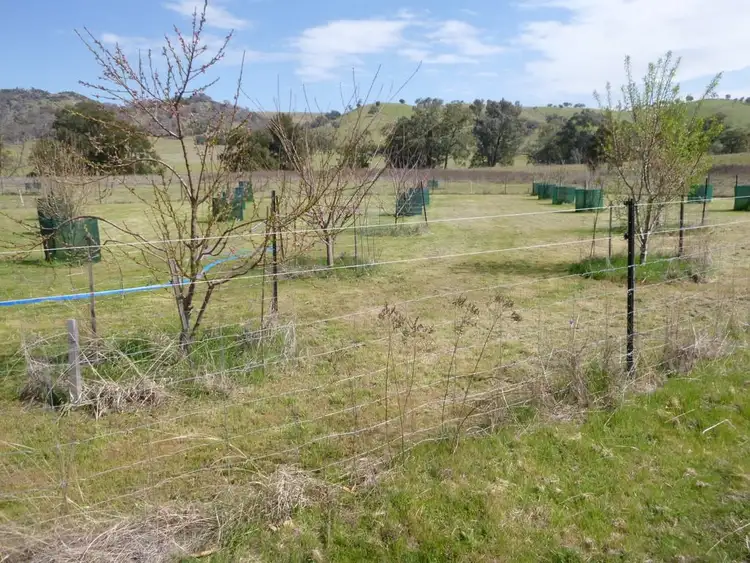 Seventh view of Homely rural property listing, 5/477 Mount McDonald Road, Wyangala NSW 2808