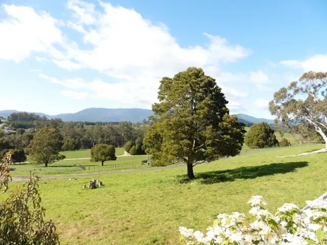 Third view of Homely house listing, 5 McLennan Street, Scottsdale TAS 7260