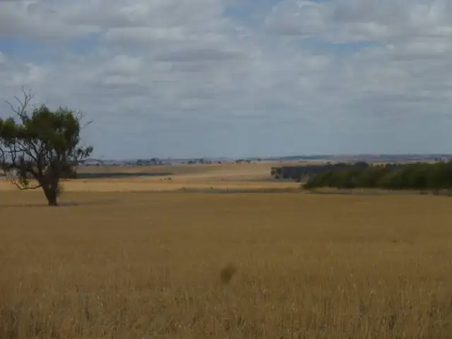 Second view of Homely rural property listing, 20053 Hills Road, Cunderdin WA 6407