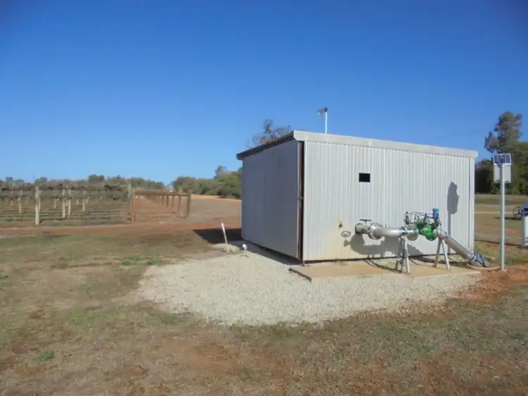 Fifth view of Homely rural property listing, 59B Murray Valley Highway, Robinvale VIC 3549