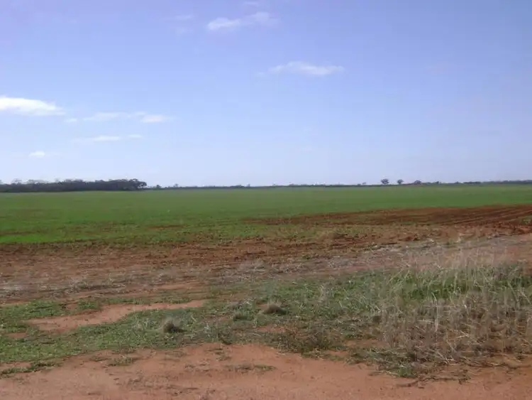 Seventh view of Homely land listing, LOT 15396 Caridi Road, Nungarin WA 6490