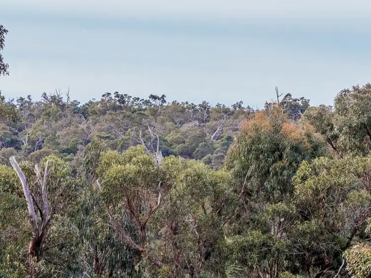 Fourth view of Homely house listing, 29 Oxley Road, Darlington WA 6070