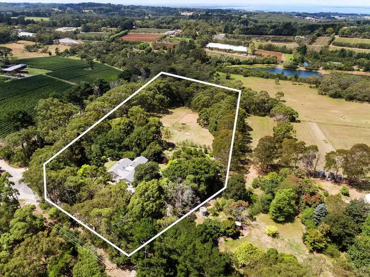 Main view of Homely house listing, 133 Roberts Road, Main Ridge VIC 3928