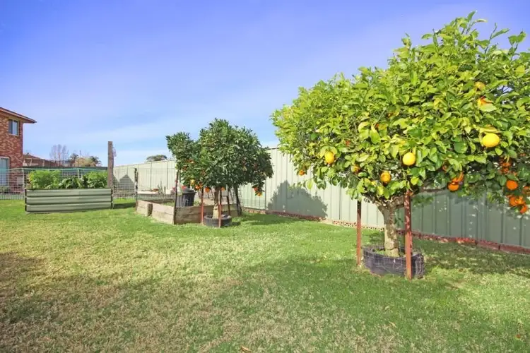 Sixth view of Homely house listing, 6 Victoria Place, Richmond NSW 2753