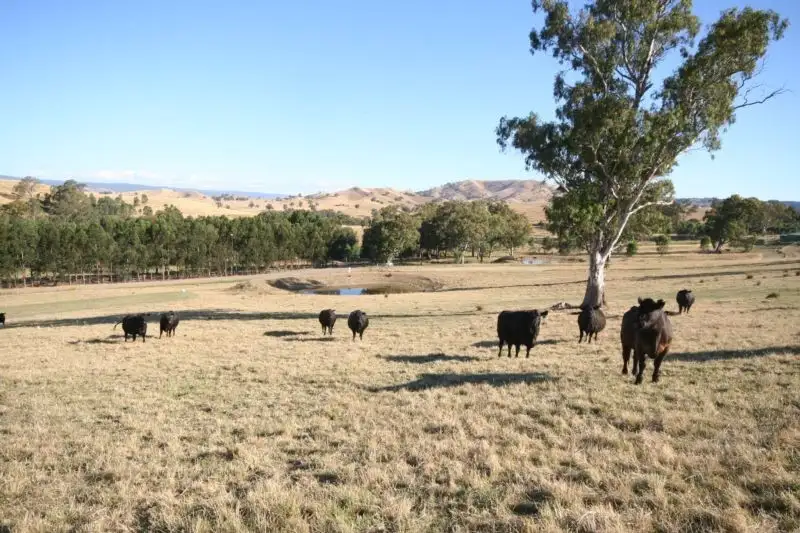 Main view of Homely land listing, 78 Lawrances Place, Yea VIC 3717