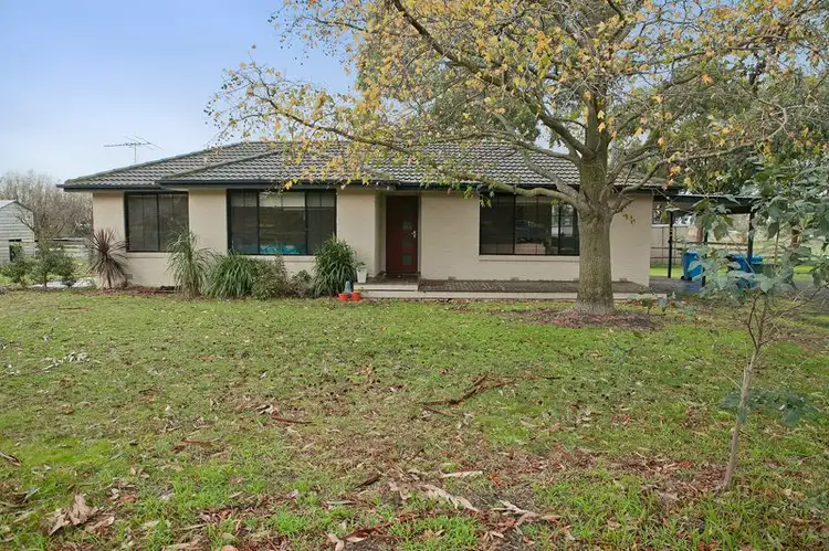 Address available on request