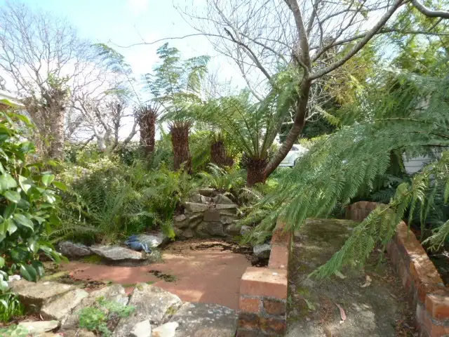 Third view of Homely house listing, 21 Albert Street, Branxholm TAS 7261
