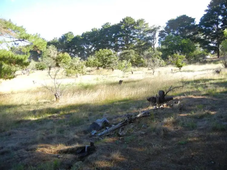 Main view of Homely land listing, 326 Fighting Gully Road, Beechworth VIC 3747
