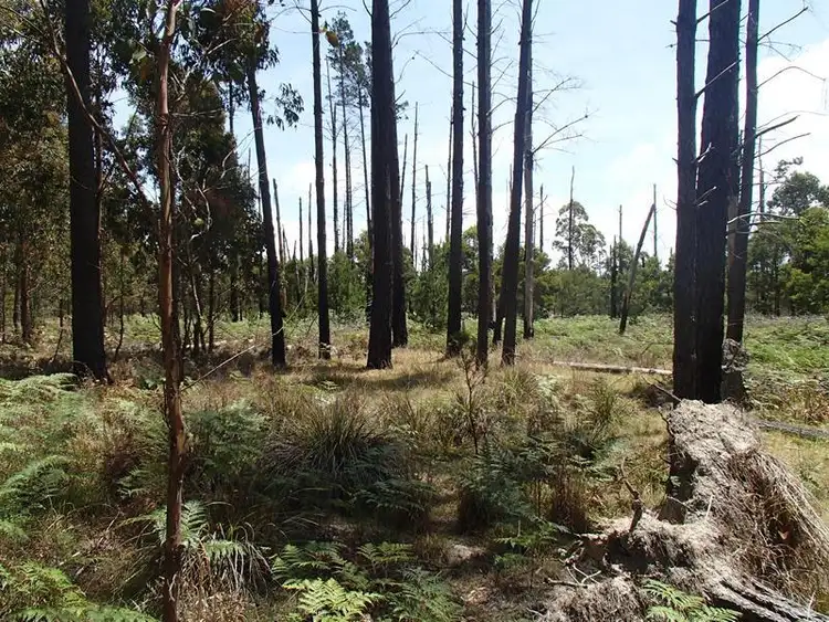 Third view of Homely land listing, LOT 169 Panoramic Drive, Stanthorpe QLD 4380