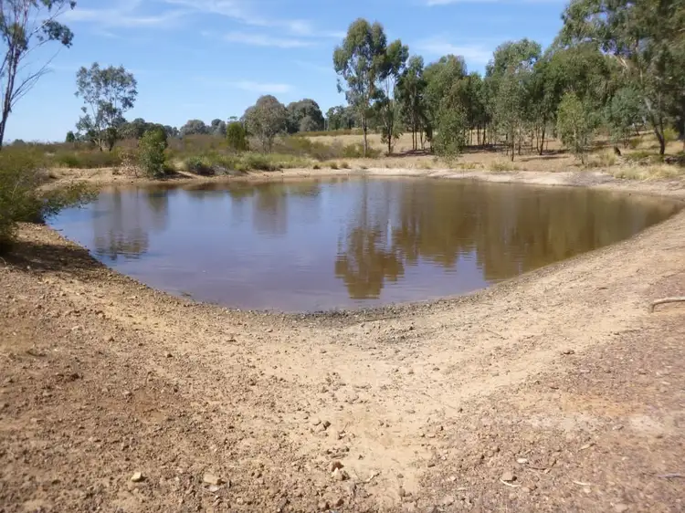 Sixth view of Homely rural property listing, 333 Sheep Station Road, Cowra NSW 2794