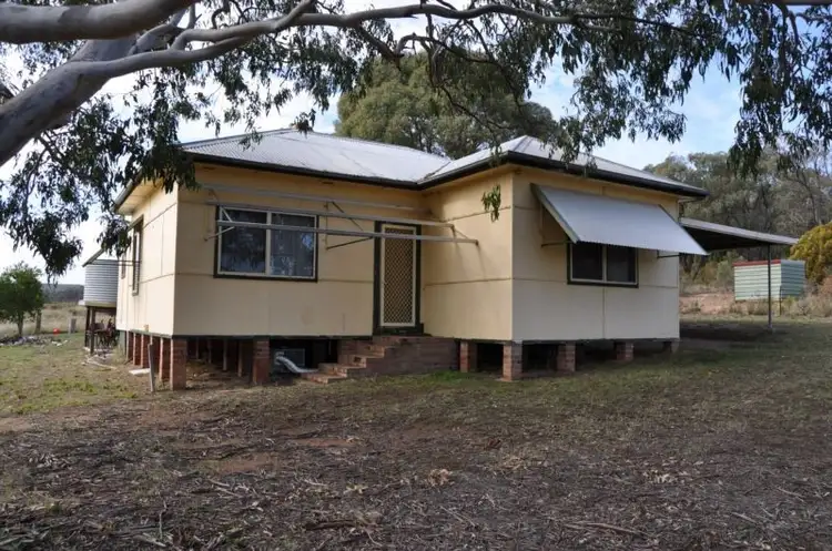 Main view of Homely rural property listing, 01062 Blue Springs Road, Gulgong NSW 2852