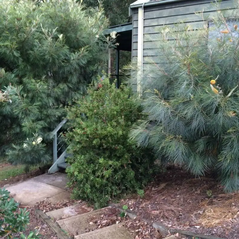 Main view of Homely house listing, Cabin 40/390 Mount Scanzi Road, Kangaroo Valley NSW 2577