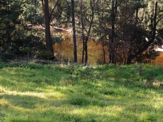 Sixth view of Homely land listing, * Main Street, Derby TAS 7264