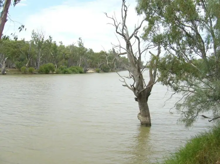 Fifth view of Homely land listing, 7 Bates Drive, Euston NSW 2737