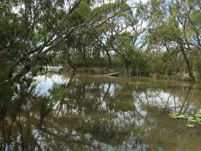 Main view of Homely house listing, 6 Catanese Road, Echuca VIC 3564
