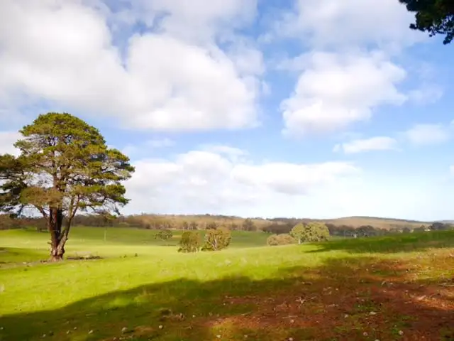Second view of Homely rural property listing, 124 Kays Road, Beaufort VIC 3373